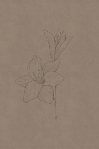 9798384540786 Verse By Verse Reference Bible Digital Study Edition