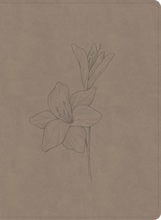 9798384540786 Verse By Verse Reference Bible Digital Study Edition