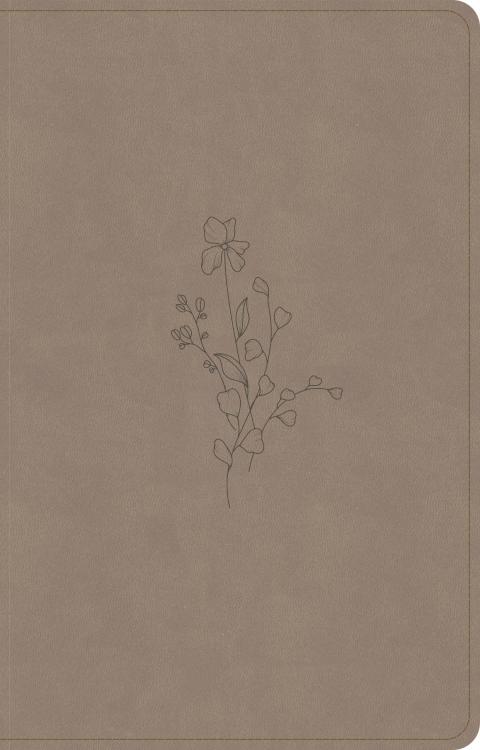 9798384540816 Thinline Reference Bible Digital Study Edition