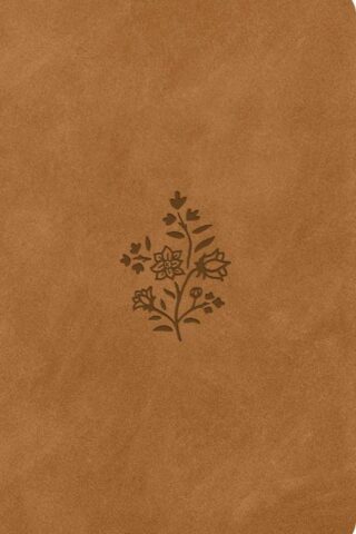 9798874903176 Premium Gift Bible