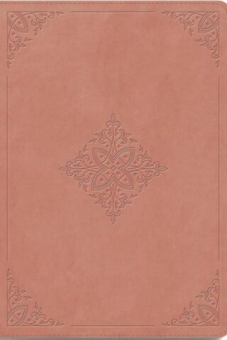 9798874906320 Giant Print Bible