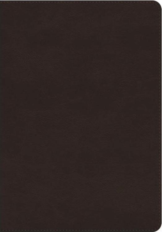 9798874906337 Giant Print Bible