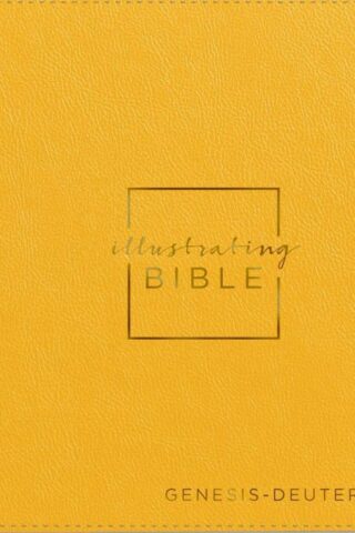 9798886028706 Illustrating Bible Genesis-Deuteronomy