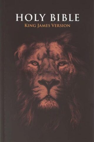 9798896780519 KJV Holy Bible