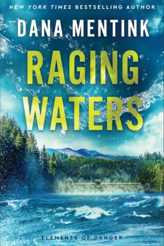 9780800746537 Raging Waters