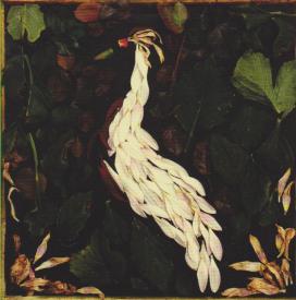 859710162276 Fortunate Fall