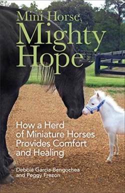 9780800739461 Mini Horse Mighty Hope