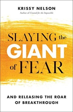 9780800799663 Slaying The Giant Of Fear