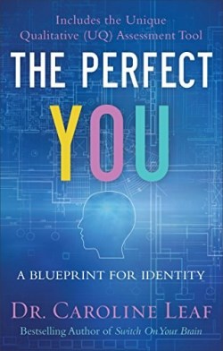 9780801077968 Perfect You : A Blueprint For Identity