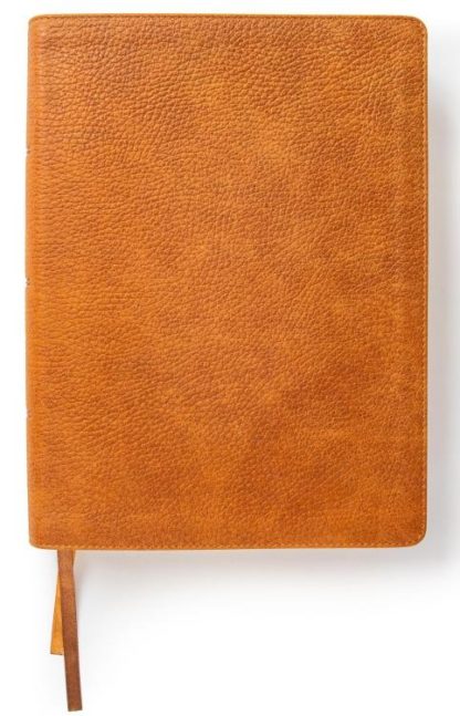 9781087757551 Lifeway Womens Bible