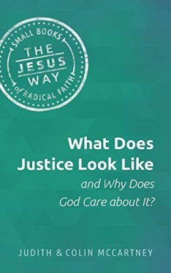 9781513805719 What Does Justice Look Like And Why Does God Care About It