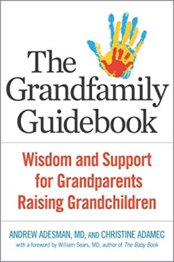 9781616497576 Grandfamily Guidebook : Wisdom And Support For Grandparents Raising Grandch